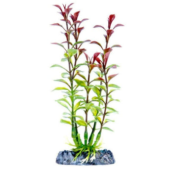 Penn Plax Sinker Plant Blooming Ludwigia Red Small