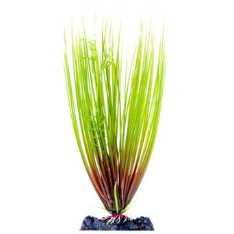Penn Plax Sinker Plant Hair Grass Large