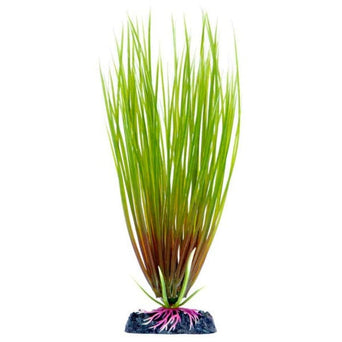 Penn Plax Sinker Plant Hair Grass Small