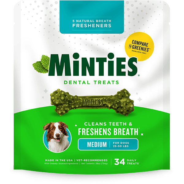 PET IQ Minties Medium/Large Dental Bones for Dogs