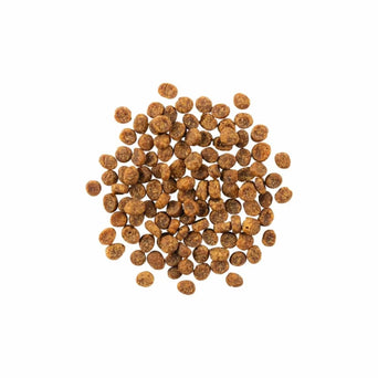 Petcurean Go! Sensitivities Limited Ingredient Grain Free Salmon Recipe Dry Cat Food, 8lb