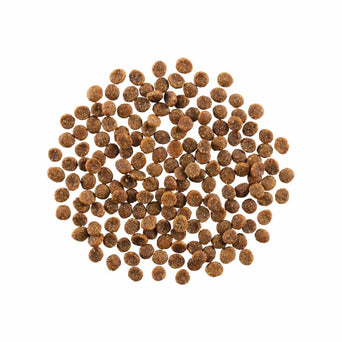 Petcurean GO! Skin & Coat Care Grain-Free Salmon Recipe Dry Cat Food