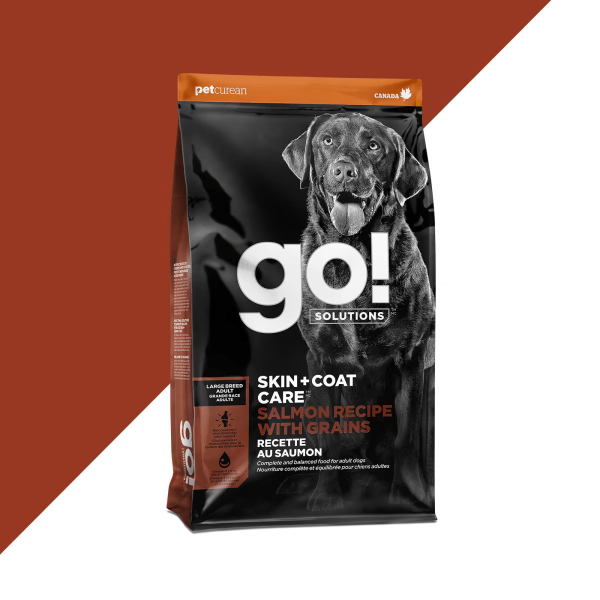 Go Solutions Skin Coat Care Large Breed Salmon Recipe with Grains Dry Dog Food