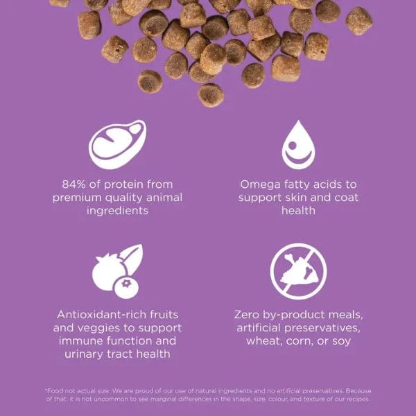 Petcurean Go! Solutions Carnivore Grain-Free Chicken, Turkey & Duck Recipe Dry Cat Food