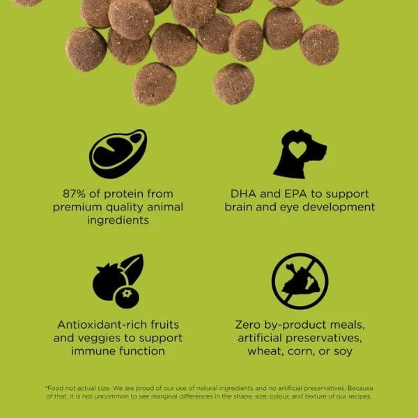 Go Solutions Carnivore Grain Free Chicken Turkey Duck Recipe Dry P Petland Canada