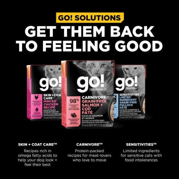 Go wet cat food clearance