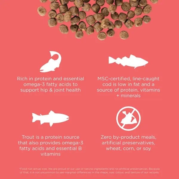 Petcurean Go! Solutions Carnivore Grain-Free Salmon & Cod Recipe Dry Cat Food