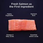 Petcurean Go! Solutions Healthy Aging | Salmon + Duck Grain-Free Dry Cat Food