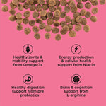Petcurean Go! Solutions Healthy Aging | Salmon + Duck Grain-Free Dry Cat Food