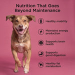 Petcurean Go! Solutions Healthy Aging | Salmon + Duck Recipe with Grains Dry Dog Food