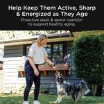 Petcurean Go! Solutions Healthy Aging | Salmon + Duck Recipe with Grains Dry Dog Food