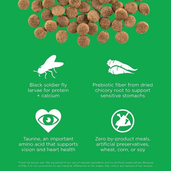 Petcurean Go! Solutions Sensitivities Limited Ingredient Grain Free Insect Recipe Dry Dog Food