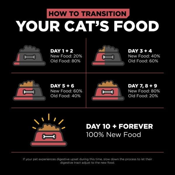 Petcurean Go! Solutions Sensitivities Limited Ingredient Grain Free Salmon Recipe Dry Cat Food, 6lb