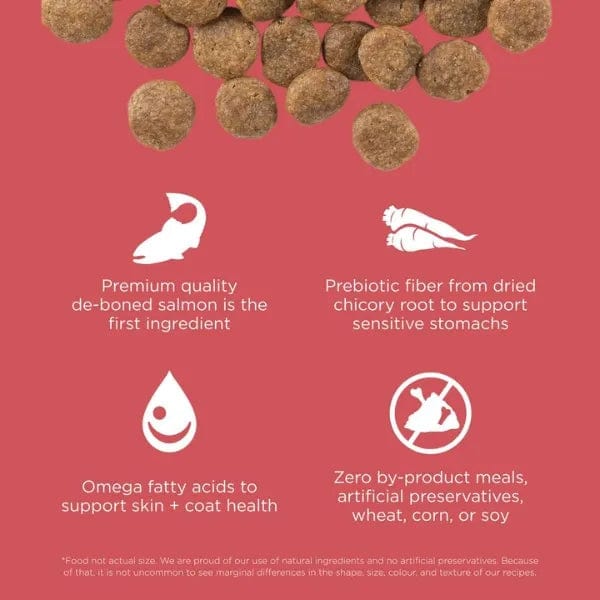 Go Solutions Sensitivities Limited Ingredient Grain Free Salmon Recip Petland Canada