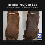 Petcurean Go! Solutions Skin & Coat Care | Beef Recipe with Grains Dry Dog Food