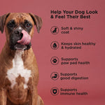 Petcurean Go! Solutions Skin & Coat Care | Beef Recipe with Grains Dry Dog Food