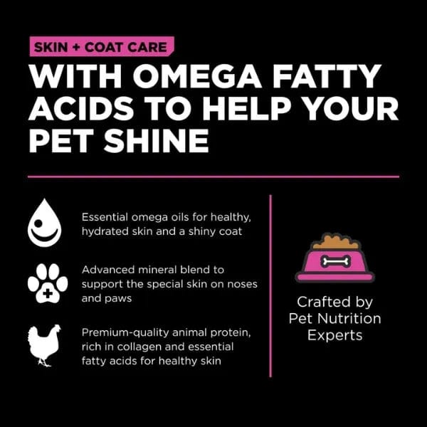 Petcurean Go! Solutions Skin & Coat Care Chicken Recipe with Grains Dry Cat Food