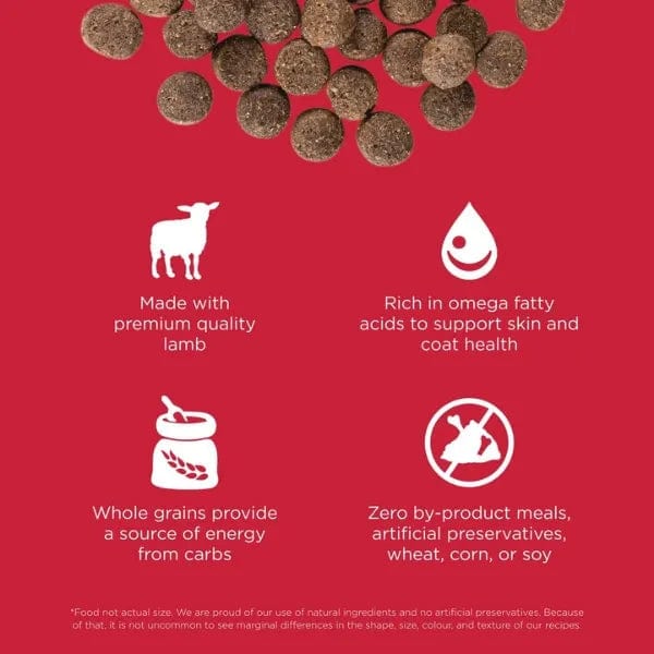 Petcurean Go! Solutions Skin & Coat Care Lamb Recipe with Grains Dry Dog Food