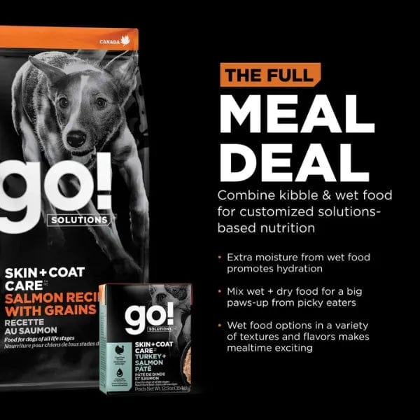 Go! Solutions Skin Coat Care Salmon Recipe with Grains Dry Dog