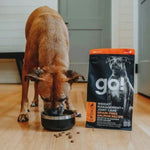 Petcurean Go! Solutions Weight Management + Joint Care, Grain-Free Salmon Recipe Dry Dog Food