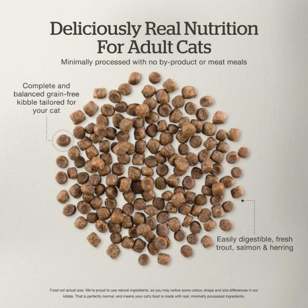 Petcurean Now Fresh Fish Recipe Adult Dry Cat Food