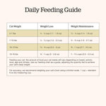 Petcurean Now Fresh Fish Recipe Adult Dry Cat Food