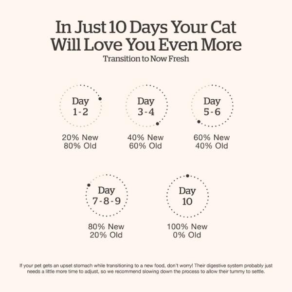 Petcurean Now Fresh Fish Recipe Adult Dry Cat Food