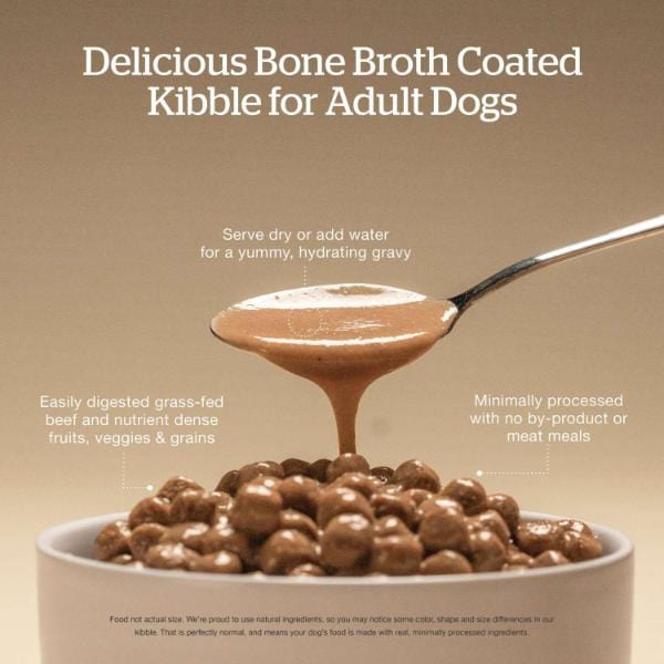 Petcurean Now Fresh Good Gravy Beef Recipe Adult Dry Dog Food