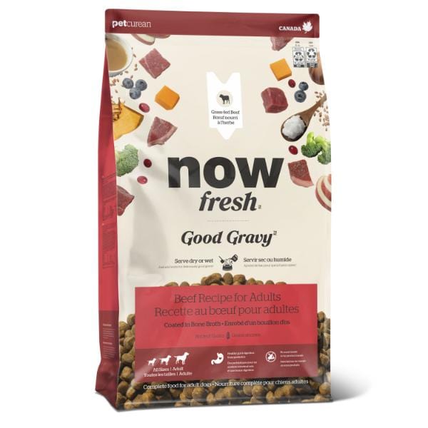 Petcurean Now Fresh Good Gravy Beef Recipe Adult Dry Dog Food