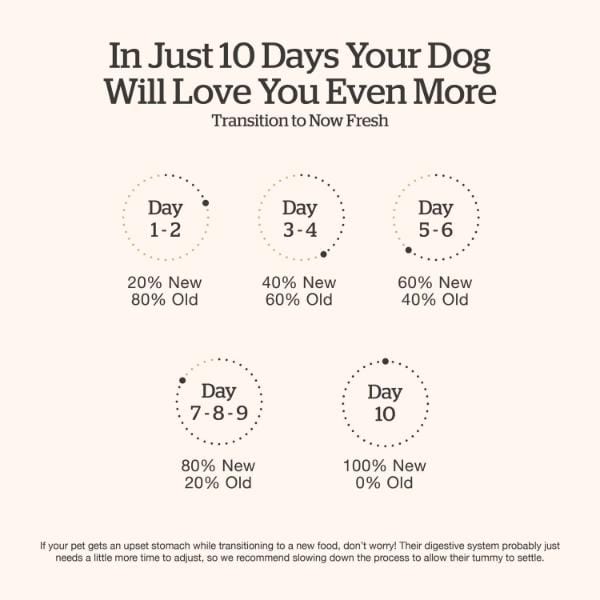 Petcurean Now Fresh Good Gravy Beef Recipe Senior Dry Dog Food
