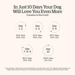 Petcurean Now Fresh Good Gravy Beef Recipe Senior Dry Dog Food