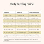 Petcurean Now Fresh Good Gravy Beef Recipe Senior Dry Dog Food