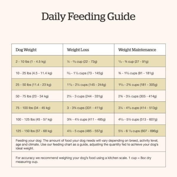 Petcurean Now Fresh Good Gravy Beef Recipe Senior Dry Dog Food