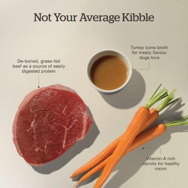 Petcurean Now Fresh Good Gravy Beef Recipe Senior Dry Dog Food