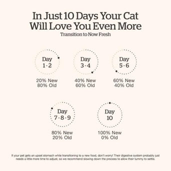 Petcurean Now Fresh Good Gravy Chicken Recipe Adult Dry Cat Food