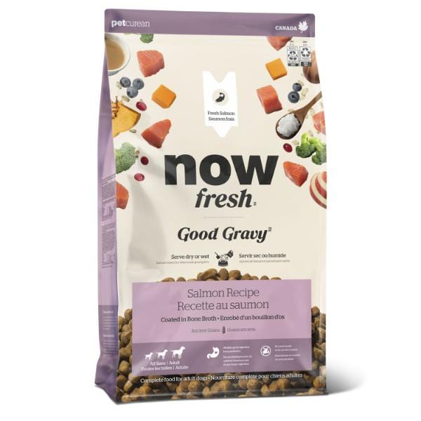 Petcurean Now Fresh Good Gravy Salmon Recipe Adult Dry Dog Food