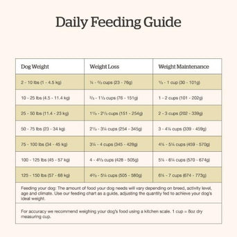 Petcurean Now Fresh Good Gravy Salmon Recipe Adult Dry Dog Food