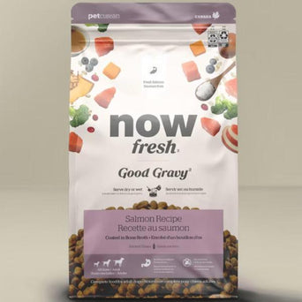 Petcurean Now Fresh Good Gravy Salmon Recipe Adult Dry Dog Food