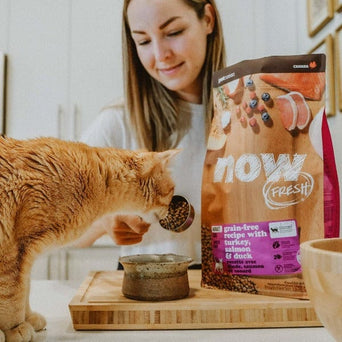Petcurean Now Fresh Grain Free Recipe Adult Dry Cat Food