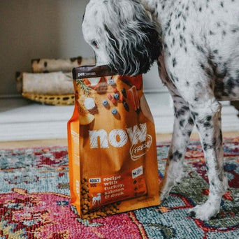 Petcurean Now Fresh Grain Free Recipe Adult Dry Dog Food