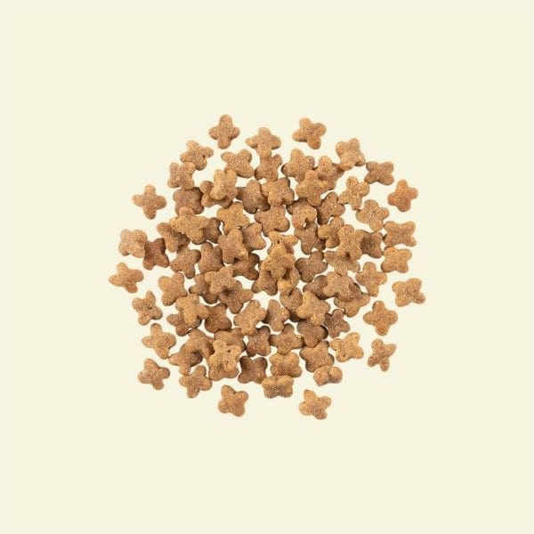 Now Fresh Turkey, Salmon & Duck Recipe Small Breed Adult Dry Dog Food