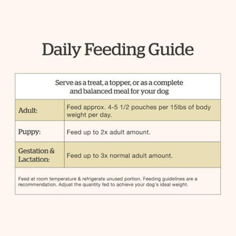 Petcurean Now Fresh Ground Beef & Rice Wet Dog Food with Grains