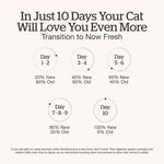 Petcurean Now Fresh Tuna & Salmon Pâté Grain-Free Wet Cat Food
