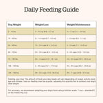 Petcurean Now Fresh Turkey, Salmon & Duck Recipe Adult Dry Dog Food