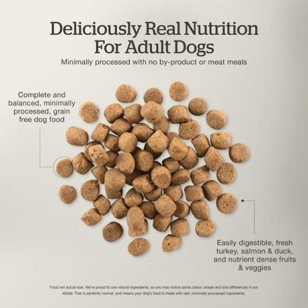 Petcurean Now Fresh Turkey, Salmon & Duck Recipe Adult Dry Dog Food