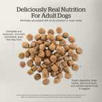 Petcurean Now Fresh Turkey, Salmon & Duck Recipe Adult Dry Dog Food