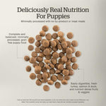 Petcurean Now Fresh Turkey, Salmon & Duck Recipe Dry Puppy Food, 22lb