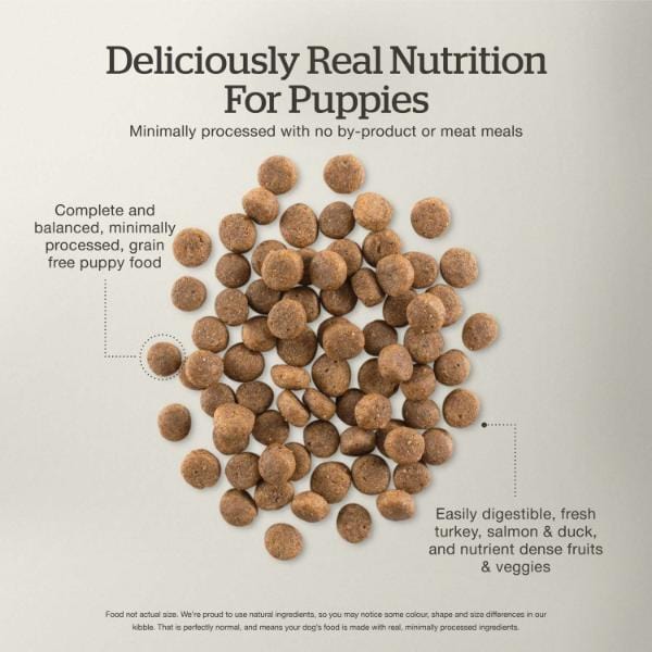 Petcurean Now Fresh Turkey, Salmon & Duck Recipe Dry Puppy Food, 22lb