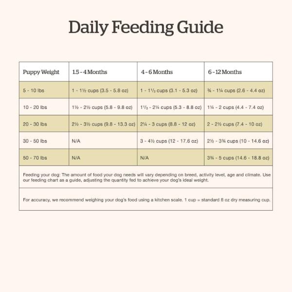 Petcurean Now Fresh Turkey, Salmon & Duck Recipe Dry Puppy Food, 22lb