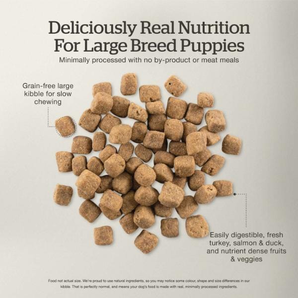 Petcurean Now Fresh Turkey, Salmon & Duck Recipe Large Breed Dry Puppy Food